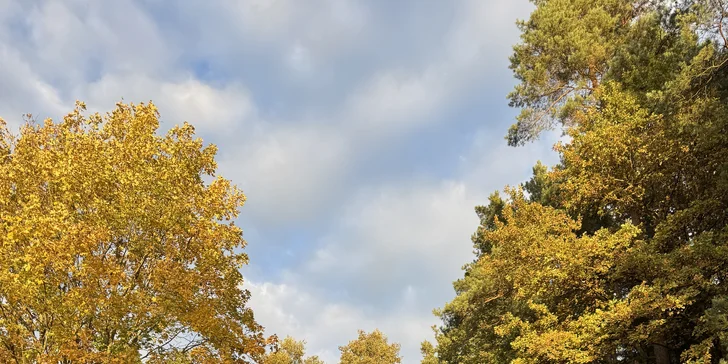 Relax a romantika v malebnom Pošumaví: chalúpka s odklápacou strechou pri lese a rybníku