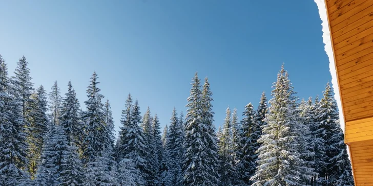 Horský hotel v Jasnej plný podmanivých výhľadov na brehu Vrbického plesa s wellness a stravou