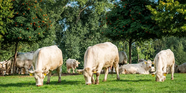 Pobyt na farme 5 km od Kuksu s farmárskymi raňajkami aj polpenziou a možnosťou pikniku
