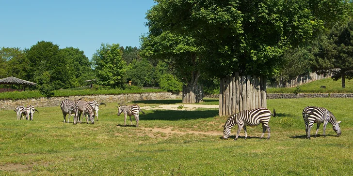 Pobyt na farme 5 km od Kuksu s farmárskymi raňajkami aj polpenziou a možnosťou pikniku