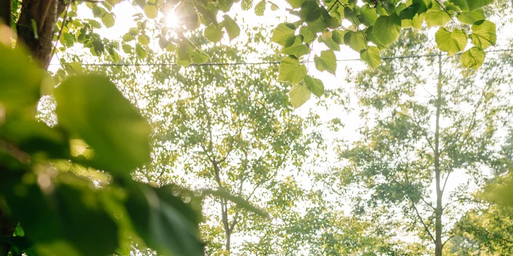 Zrekonštruovaná chalúpka pod Lysou horou, vrátane sauny, vírivky aj grilu, až pre 6 osôb