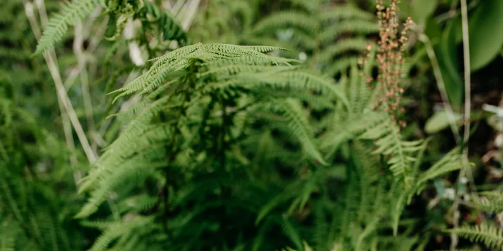 Zrekonštruovaná chalúpka pod Lysou horou, vrátane sauny, vírivky aj grilu, až pre 6 osôb