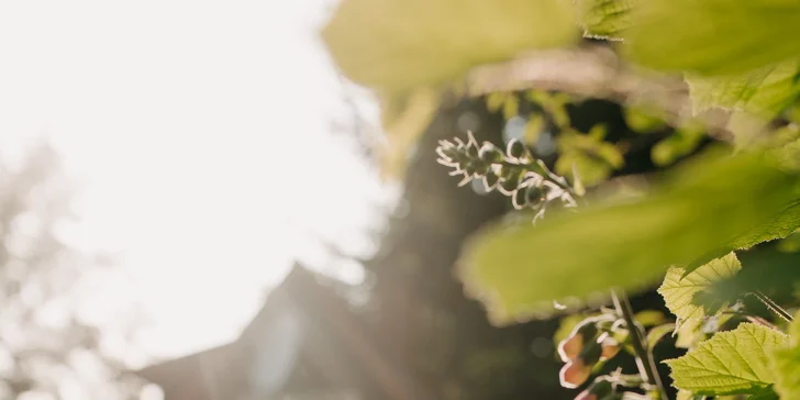 Zrekonštruovaná chalúpka pod Lysou horou, vrátane sauny, vírivky aj grilu, až pre 6 osôb