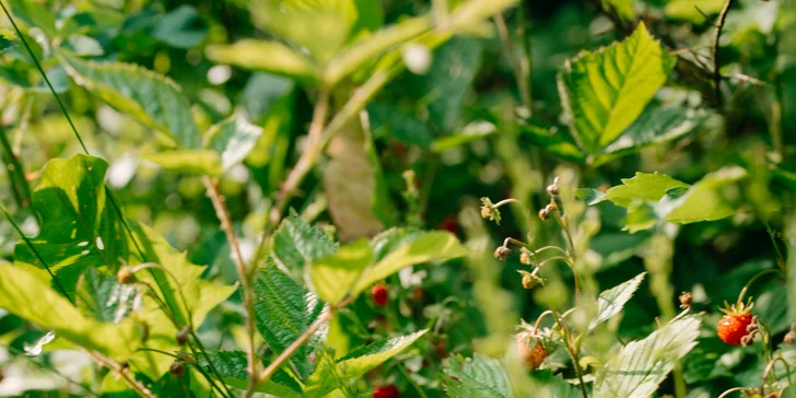 Zrekonštruovaná chalúpka pod Lysou horou, vrátane sauny, vírivky aj grilu, až pre 6 osôb