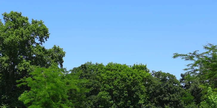 Golfový kurz na získanie „Zelenej karty“ pod vedením certifikovaného trénera SKGA, sezóna 2026