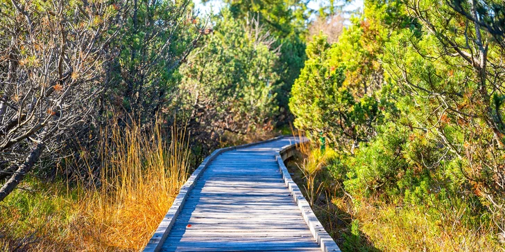 Chalupa v srdci Krušných hôr až pre 12 osôb: infrasauna aj záhrada s grilom