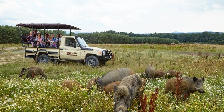 Pobyt pri jazere na juhu Čiech: domček s terasou a raňajkami, obora so zvieratami aj safari jazda