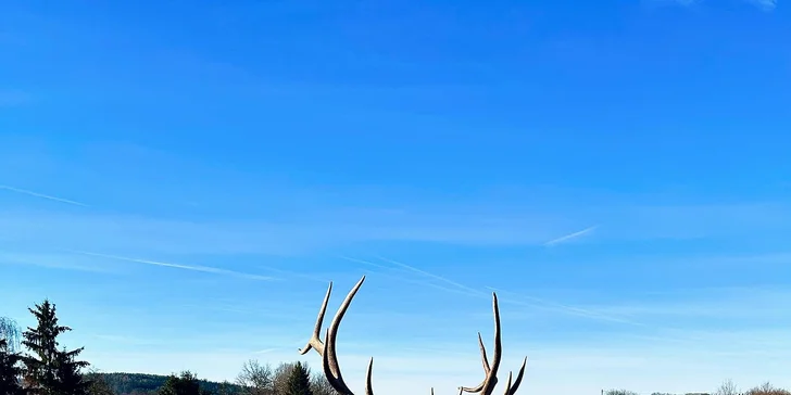 Zažite život zvierat: pobyt v Safari Resorte s raňajkami a Offroad Safari jazdou