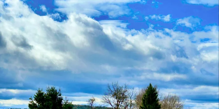 Zažite život zvierat: pobyt v Safari Resorte s raňajkami a Offroad Safari jazdou