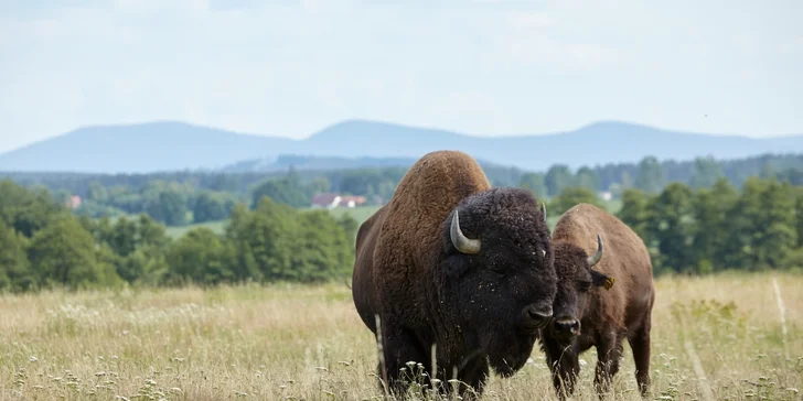Pobyt v indiánskej dedinke pre 2–4 osoby: nocľah v teepee, raňajky a Offroad Safari jazda
