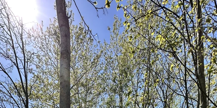 Oddych vo wellness domčeku s privátnou vírivkou a fínskou saunou pod Jizerami