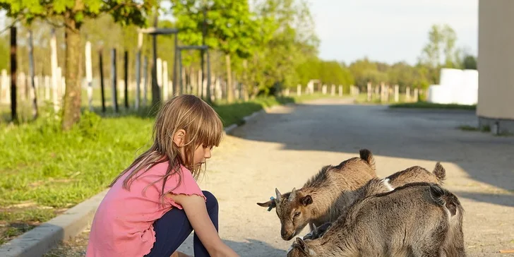 Pobyt v indiánskej dedinke pre 2–4 osoby: nocľah v teepee, raňajky a Offroad Safari jazda