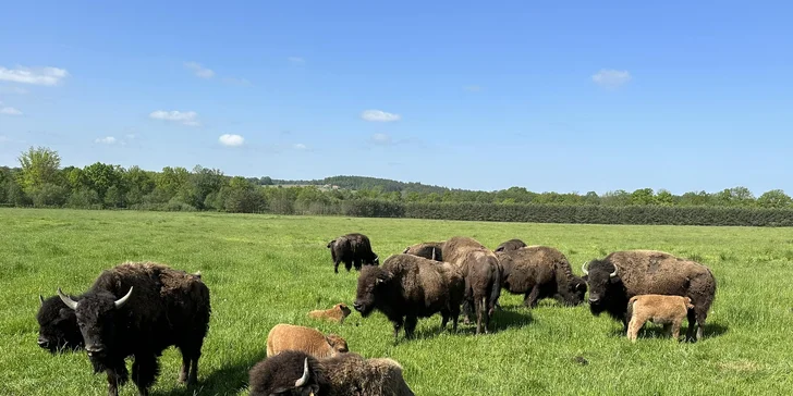 Pobyt v indiánskej dedinke pre 2–4 osoby: nocľah v teepee, raňajky a Offroad Safari jazda