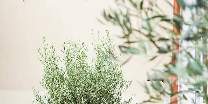 Otvorený voucher do reštaurácie Ohnysko: 50, 70 alebo 100 €