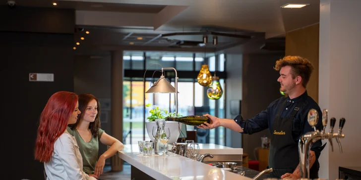 Hotel Ibis v Plzni: raňajky alebo polpenzia aj prehliadka pivovaru alebo wellness