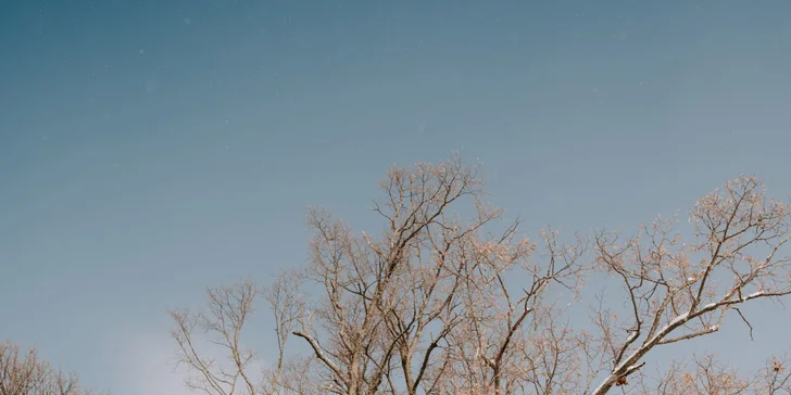 Pobyt v domčeku v korunách stromov v srdci oravskej prírody pre 2 až 4 osoby