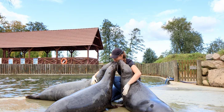 Parádny rezort 13 km od Baltu: raňajky, wellness, zoo aj kone, vlastné jazero, festival a mnoho ďalšieho