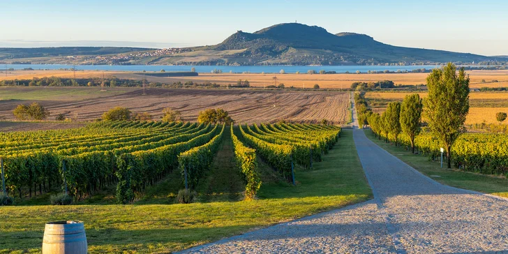 Penzión neďaleko Mikulova a Pálavy: bez stravy, s raňajkami alebo s polpenziou