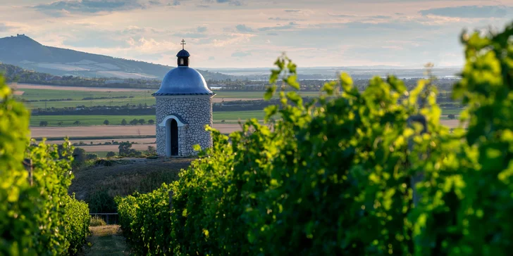 Pobyt v rodinnom penzióne na južnej Morave: strava aj degustácia vín a domácich likérov