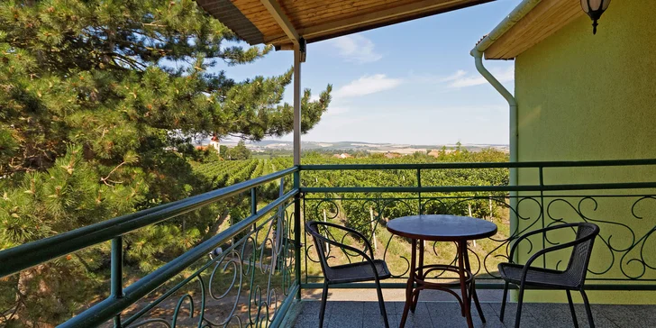 Pobyt v rodinnom penzióne na južnej Morave: strava aj degustácia vín a domácich likérov