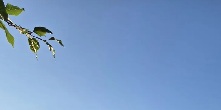 Plne vybavené apartmány pri Třeboni, v ponuke aj vianočný a silvestrovský pobyt