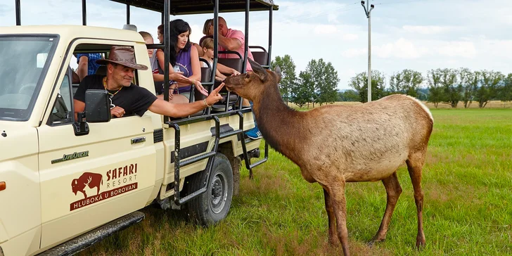 Pobyt pri jazere na juhu Čiech: domček s terasou a raňajkami, obora so zvieratami aj safari jazda