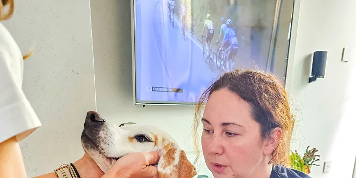 Masáž psíka pomocou Dornovej metódy