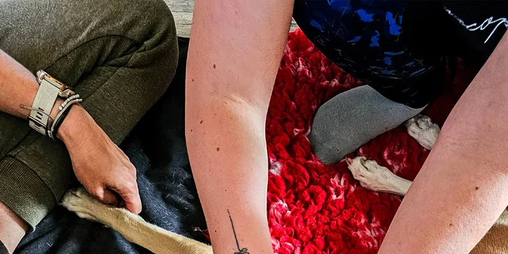 Masáž psíka pomocou Dornovej metódy