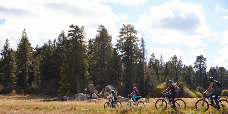 Pobyt na Šumave: vybavené apartmány, až 3 deti do 14,9 rokov zdarma