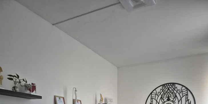 Bankovanie alebo myofasciálna masáž IASTM, aj permanentka