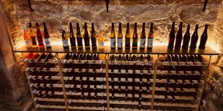 Pobyt pri Nechranickej priehrade: penzión s raňajkami, možnosť súkromnej degustácie vín