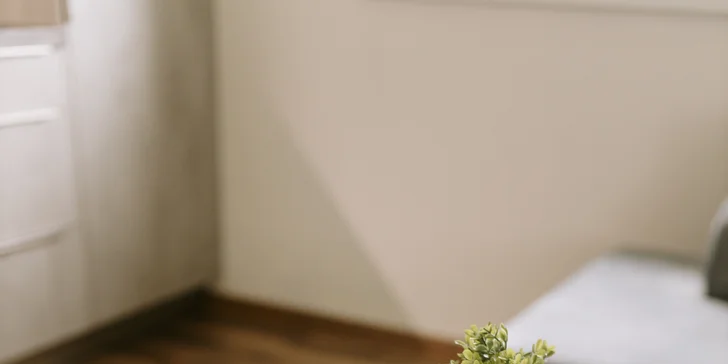 Apartmán v Jeseníkoch: vlastná vírivka, masážne kreslo aj možnosť luxusných raňajok