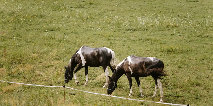 Apartmán v Jeseníkoch: vlastná vírivka, masážne kreslo aj možnosť luxusných raňajok