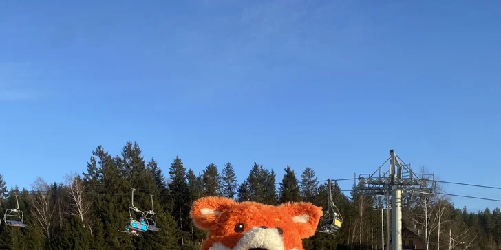 Krásny apartmán na Lipne až pre 6 osôb len kúsok od chodníka v korunách