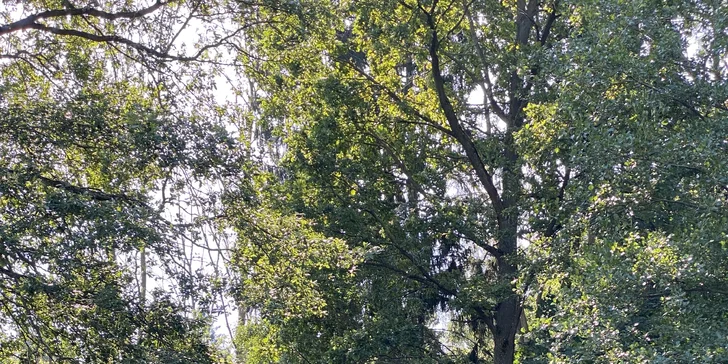 Netradičný relax v Českém raji: domček na strome až pre 4 osoby a zapožičanie loďky aj možnosť raňajkového koša