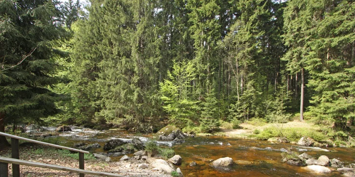 Pobyt v penzióne uprostred Jizeriek: raňajky alebo polpenzia a wellness