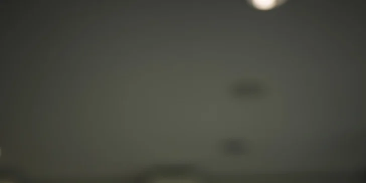 Vstup do wellness, 4-chodová večera alebo romantický večer pre 2 osoby vo Ville Nečas