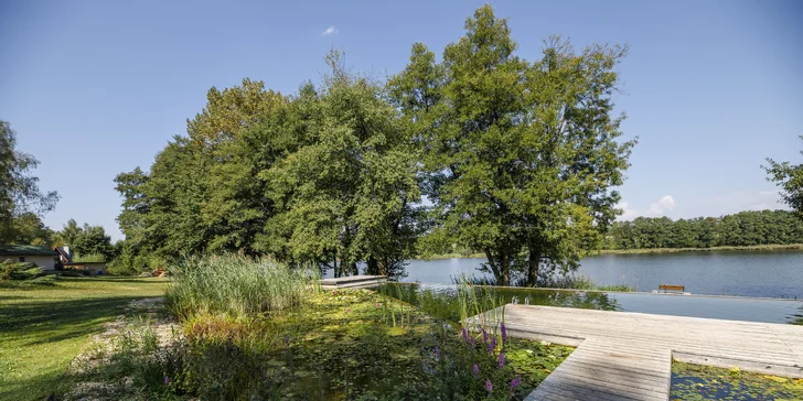 Útulné chatky pri rybníku na úpätí Orlických hôr pre pár aj rodinu: jedlo, sauny a biotop