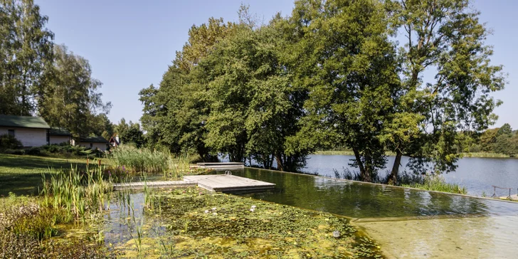 Útulné chatky pri rybníku na úpätí Orlických hôr pre pár aj rodinu: jedlo, sauny a biotop