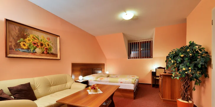 Pobyt na severnej Morave: raňajky, bazén a vstup do privátneho wellness