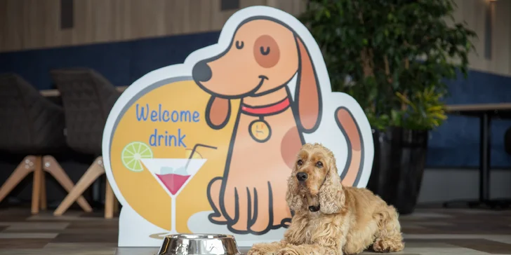 Termálne kúpele St. Gotthard: polpenzia, neobmedzené pitie, voľný vstup do kúpeľov a first minute zľava