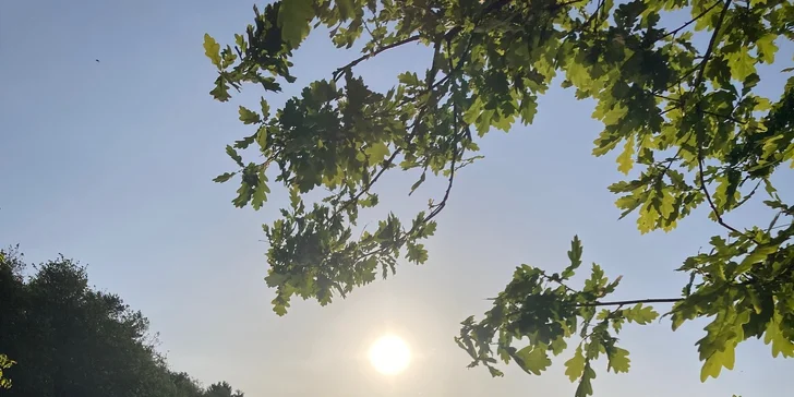 Štýlová jurta neďaleko Blaníka s možnosťou raňajok pre dvoch aj rodinu