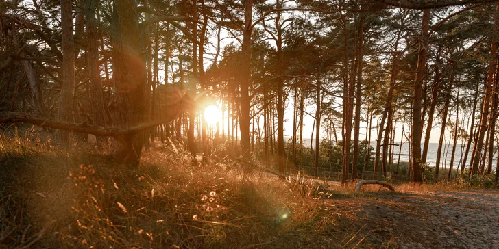 Rodinný relax pri Baltiku: wellness, raňajky alebo polpenzia, aktivity pre deti a ubytovanie blízko pláže