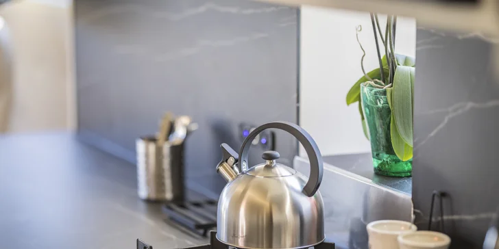 Ubytovanie v lietadle uprostred prírody pre 4 osoby: kúpeľňa, kuchyňa aj wellness