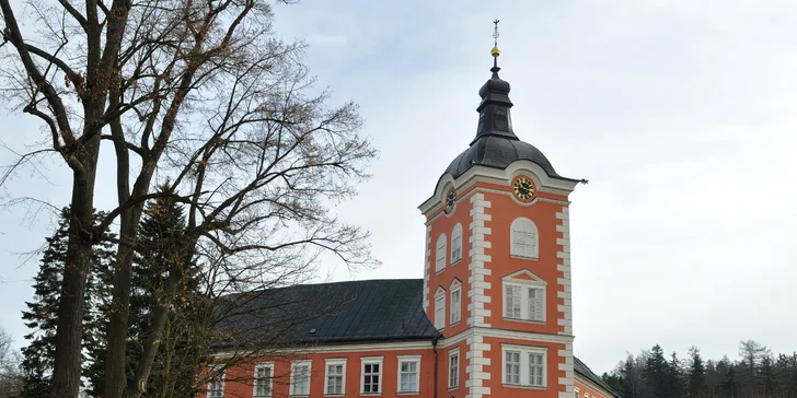 4* Resort Johanka alebo treehouse na Vysočine: polpenzia, vírivka, sauna a drevené sudy