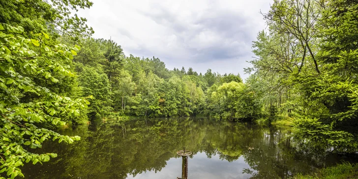 4* Resort Johanka alebo treehouse na Vysočine: polpenzia, vírivka, sauna a drevené sudy