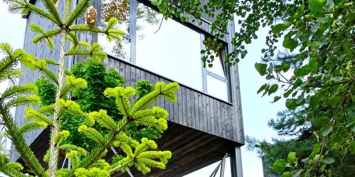 4* Resort Johanka alebo treehouse na Vysočine: polpenzia, vírivka, sauna a drevené sudy