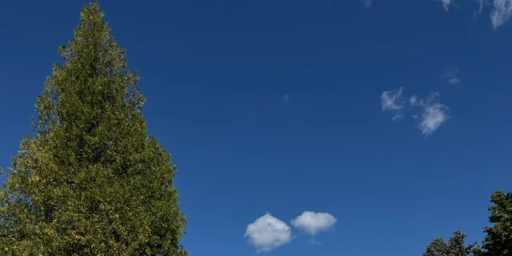 Apartmán v Jeseníkoch: vlastná vírivka, masážne kreslo aj možnosť luxusných raňajok