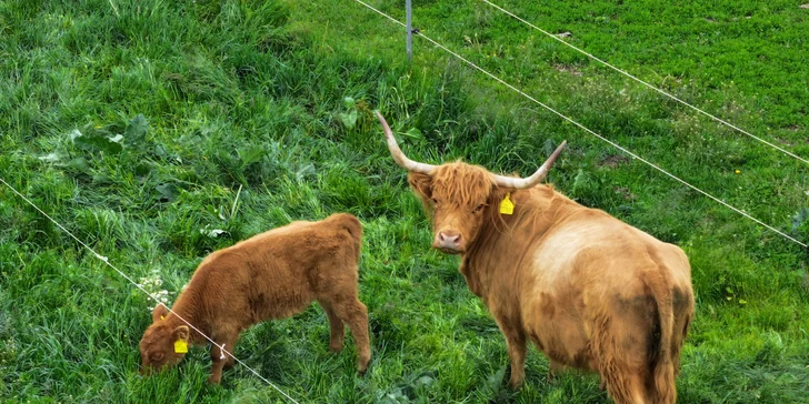 Relax kúsok od Boskovíc: pobyt s raňajkami alebo polpenziou či aj pivným kúpeľom