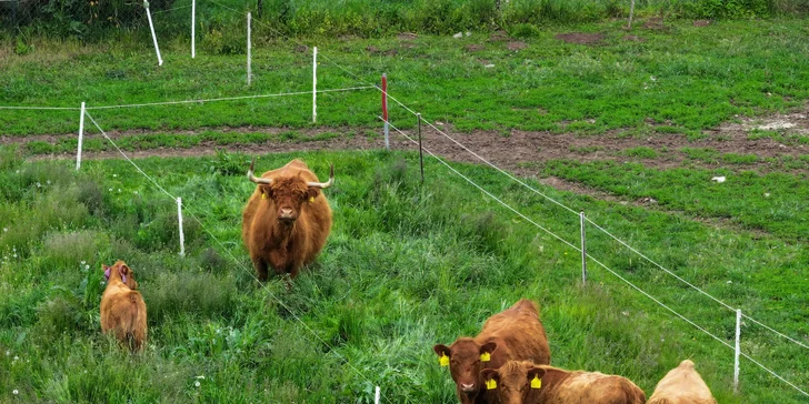 Relax kúsok od Boskovíc: pobyt s raňajkami alebo polpenziou či aj pivným kúpeľom